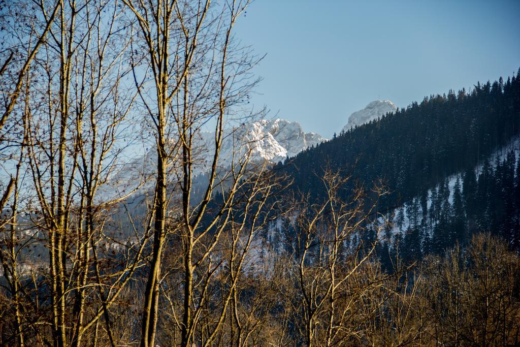 Dolina Resort Zakopane كوشتيليسكا الغرفة الصورة